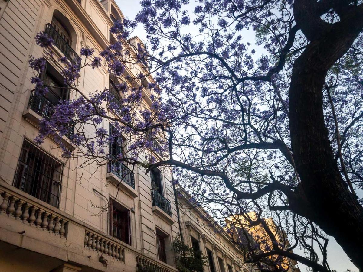 Hotel Up Tribeca Buenos Aires Exterior foto